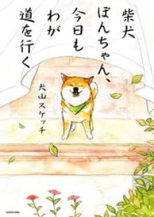 柴犬ぽんちゃん、今日もわが道を行く