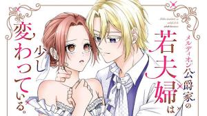 メルディオン公爵家の若夫婦は少し変わっている。