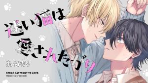 迷い猫は愛されたがり