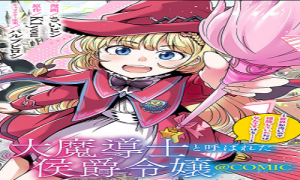大魔導士と呼ばれた侯爵令嬢〜世界が汚いので掃除していただけなんですけど……〜@COMIC